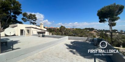 Real Estates picture 22 Ref. 74804