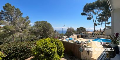 Real Estates picture 2 Ref. 74804