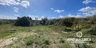 Real Estates picture 2 Ref. 79182