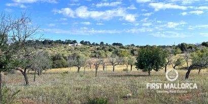 Real Estates picture 3 Ref. 79188