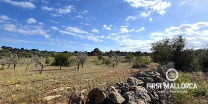 Real Estates picture 8 Ref. 79188