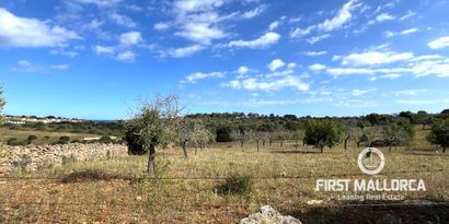 Real Estates picture 7 Ref. 79188