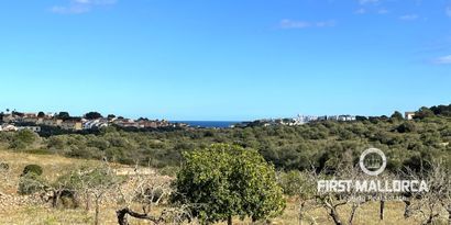 Real Estates picture 9 Ref. 79188