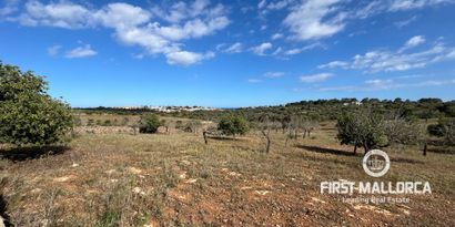 Real Estates picture 2 Ref. 79188