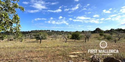 Real Estates picture 6 Ref. 79188