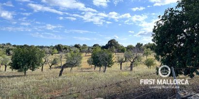 Real Estates picture 4 Ref. 79188