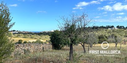 Real Estates picture 5 Ref. 79188