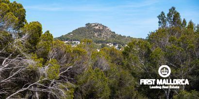 Real Estates picture 16 Ref. 78938