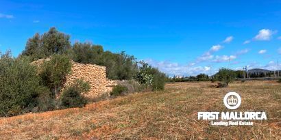 Immobilien picture 1 Ref. Nr. 79404