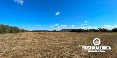 Immobilien picture 0 Ref. Nr. 79404