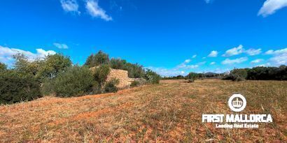 Immobilien picture 2 Ref. Nr. 79404