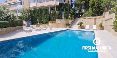 Real Estates picture 0 Ref. 79296