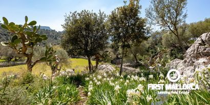 Immobilien picture 12 Ref. Nr. 65303