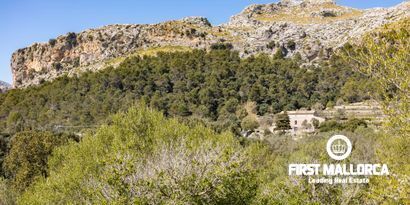 Immobilien picture 15 Ref. Nr. 65303