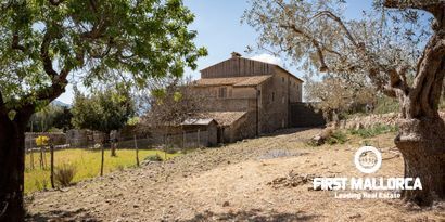 Immobilien picture 4 Ref. Nr. 65303