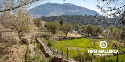 Immobilien picture 2 Ref. Nr. 65303