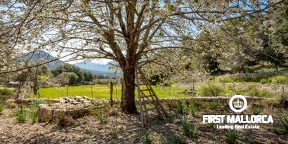 Immobilien picture 7 Ref. Nr. 65303