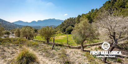 Immobilien picture 9 Ref. Nr. 65303