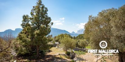 Immobilien picture 14 Ref. Nr. 65303