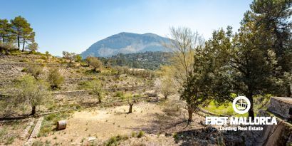 Immobilien picture 5 Ref. Nr. 65303