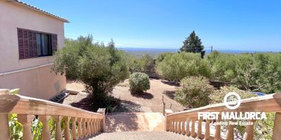 Real Estates picture 1 Ref. R25620