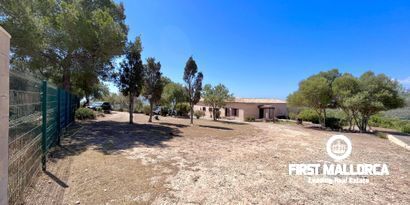 Real Estates picture 19 Ref. R25620