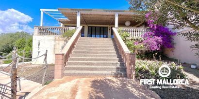 Real Estates picture 23 Ref. R25620