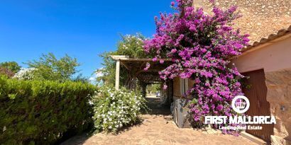 Real Estates picture 5 Ref. 79540