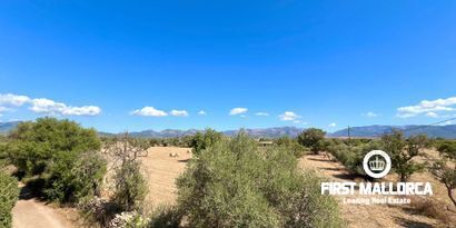 Real Estates picture 25 Ref. 79540