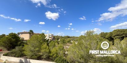 Real Estates picture 23 Ref. R25858