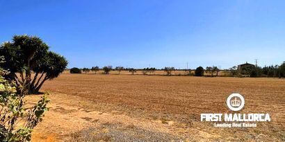 Immobilien picture 1 Ref. Nr. 80047