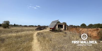 Inmobiliaria picture 29 Ref. Nº. 79859