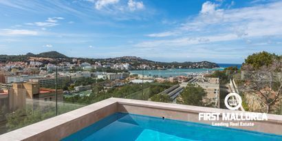 Inmobiliaria picture 0 Ref. Nº. 80118