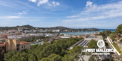 Inmobiliaria picture 14 Ref. Nº. 75700