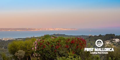 Inmobiliaria picture 23 Ref. Nº. 64305