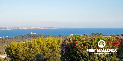 Inmobiliaria picture 24 Ref. Nº. 64305