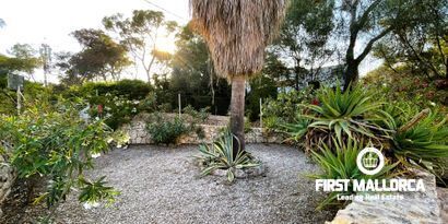 Inmobiliaria picture 3 Ref. Nº. 80254