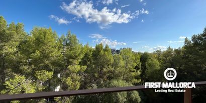 Real Estates picture 4 Ref. 79749