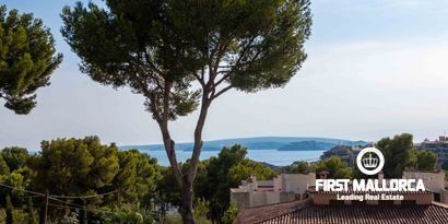 Inmobiliaria picture 25 Ref. Nº. 75095