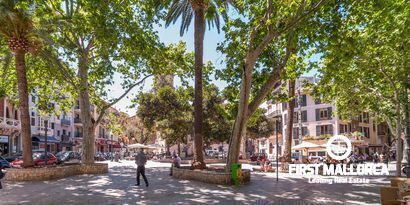 Real Estates picture 20 Ref. R11740