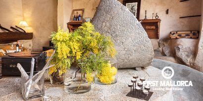 Inmobiliaria picture 7 Ref. Nº. 80321