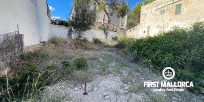 Inmobiliaria picture 0 Ref. Nº. 80355