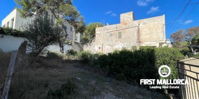 Inmobiliaria picture 2 Ref. Nº. 80355