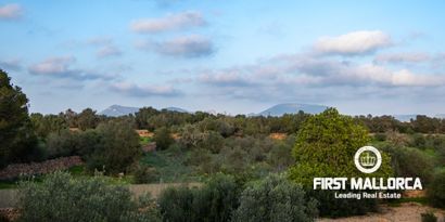 Real Estates picture 32 Ref. Nr. R26579