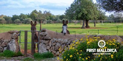 Real Estates picture 31 Ref. Nr. R26579