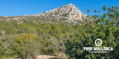 Real Estates picture 5 Ref. Nr. 80729