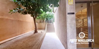 Real Estates picture 15 Ref. R26777