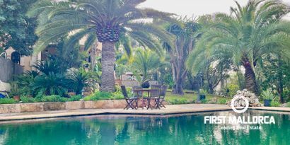 Inmobiliaria picture 34 Ref. Nº. 80499