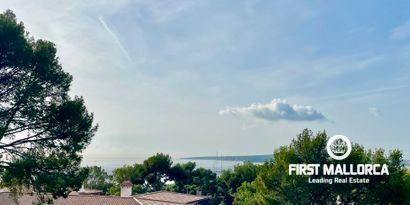 Inmobiliaria picture 35 Ref. Nº. 80499