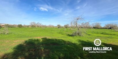 Real Estates picture 10 Ref. 80801